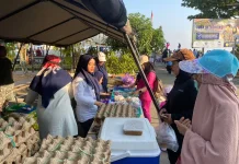 Dukung Kampanye Makan Ikan, Ikan Bandeng tanpa Tulang Laris Manis di RRI Fest 2026