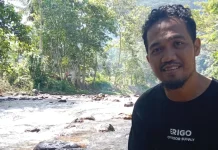 Walhi: Pemda tidak Punya Data Riil Hutan di Sulbar