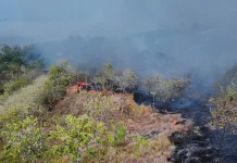 Karhutla di Mamuju Berdampak Kualitas Udara, Waspada Dampak Kesehatan