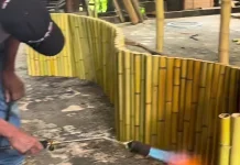 Tak Sekadar Tanaman, Ini Beragam Manfaat Bambu bagi Lingkungan dan Ekonomi