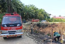 Puntung Rokok Diduga Picu Kebakaran Lahan di Pasangkayu