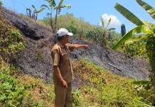 Kebakaran Lahan, Api Berjarak Dua Meter dari SD Tambayako Mamuju