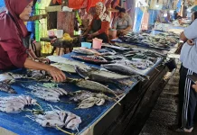 Pembeli Sepi dan Es Langka, Pedagang Ikan di TPI Mamuju Terancam Merugi