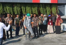 Petani Sawit di Mamuju Ikut Pelatihan untuk Dongkrak Produktivitas