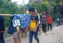 Jalan Rusak 70 Persen, Bupati Mamasa: Warga Masih Ada Ditandu ke Puskesmas