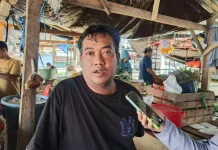 Kemarau Panjang, Harga Pangan di Pasar Baru Mamuju Naik