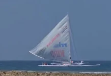 Sandeq Silumba 2026 Pecahkan Rekor, 80 Perahu Ikut Berlayar