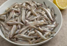 Ikan Teri Basah, Si Kecil yang Kaya Nutrisi untuk Tumbuh Kembang Anak