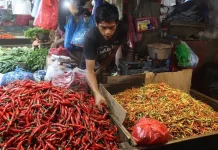 Kenaikan Harga Cabai di Mamuju Diprediksi hingga Februari 2027