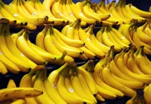 Pisang Cavendish, Si Kuning Manis yang Jadi Primadona Pasar