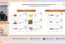 Mamuju Inflasi 0,11 Persen, Cabai Rawit Jadi Pemicu Utama