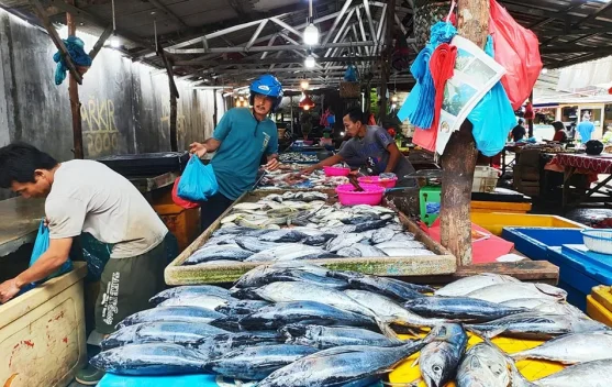 Harga Ikan Naik, Sulbar Godok Kapal Tangkap Modern - RRI.co.id
