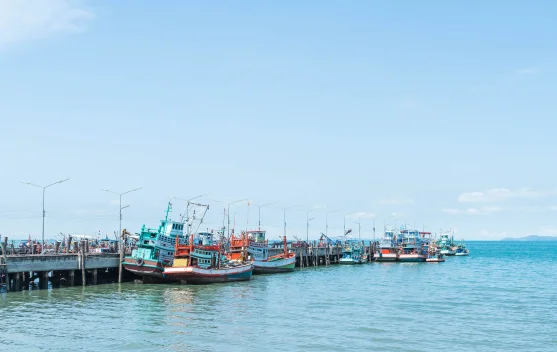 Beberapa Pilihan Moda Transportasi menuju Kabupaten Mamuju