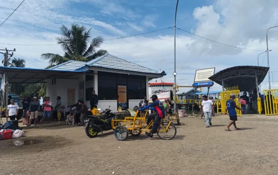 Sebanyak 310 Pemudik Tiba di Mamuju, Trip Mudik Terakhir sebelum Arus Balik