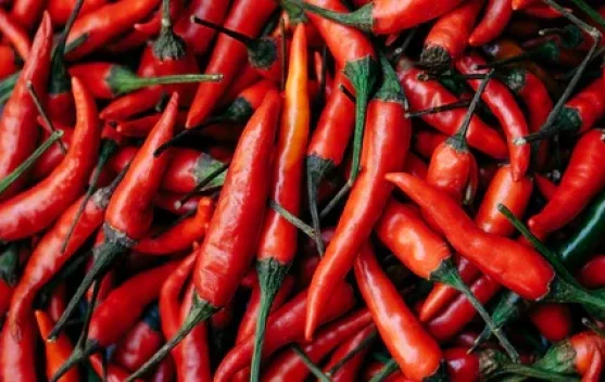 Benarkah Makanan Pedas Bisa Bermanfaat untuk Kesehatan?