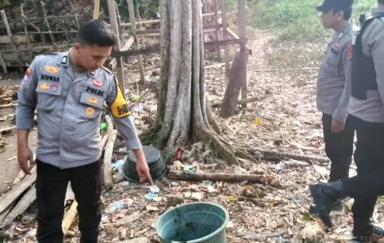 Polisi Gerebek Arena Sabung Ayam di Tapalang