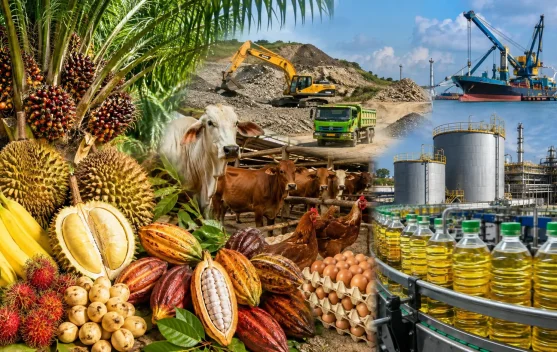 Hortikultura hingga Industri Pengolahan Topang Ekonomi Sulbar Triwulan II