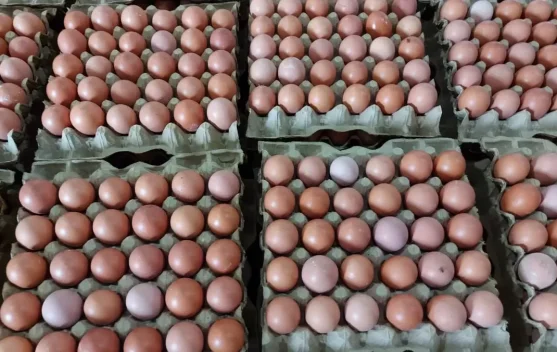 Strategi UMKM Mamuju Hadapi Fluktuasi Harga Bahan Baku