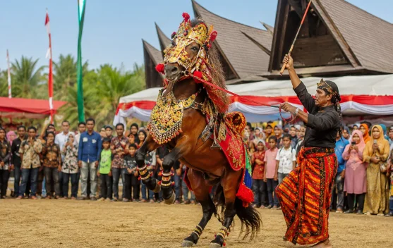 Sayyang Pattuqduq, Warisan Budaya Mandar yang Terus Lestari