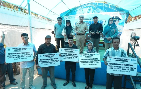 Peternakan Sulbar Didorong Topang Program Makan Bergizi Gratis