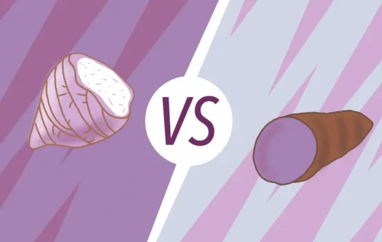 Ube vs Taro: Sama-Sama Ungu, ternyata Ini Bedanya