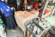 Harga Telur Naik, Dipicu Tingginya Permintaan MBG