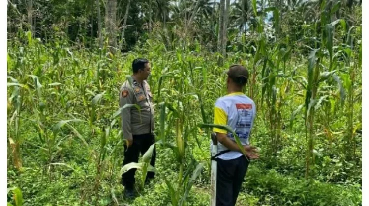 Polres Minut Perkuat Ketahanan Pangan Nasional