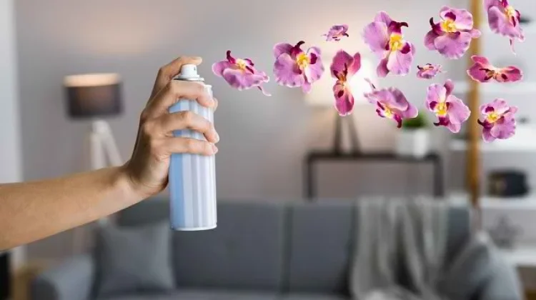 Rekomendasi Wewangian untuk Ruangan di Rumah