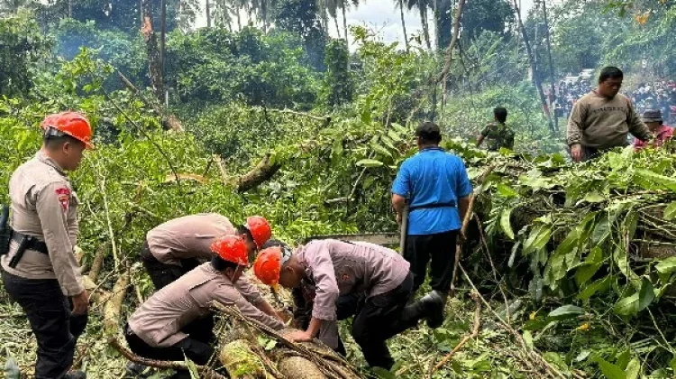 Gerak Cepat Brimob Polda Sulut Evakuasi Pohon Tumbang di Jalur Warembungan-Sea
