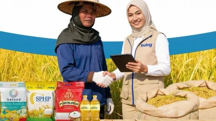 Stok Pangan SulutGo Aman hingga Juni 2026, Bulog Siap Intervensi Pasar