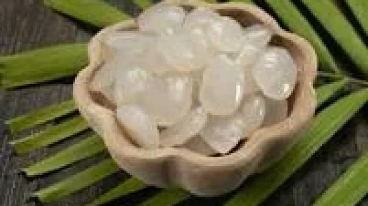 Manfaat Kolang Kaling untuk Kesehatan Tubuh