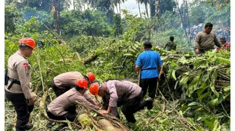 Brimob Polda Sulut Gerak Cepat Tangani Pohon Tumbang