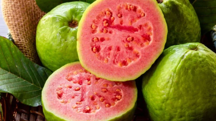 Deretan Buah yang Mengandung Tinggi Protein, Apa Saja?