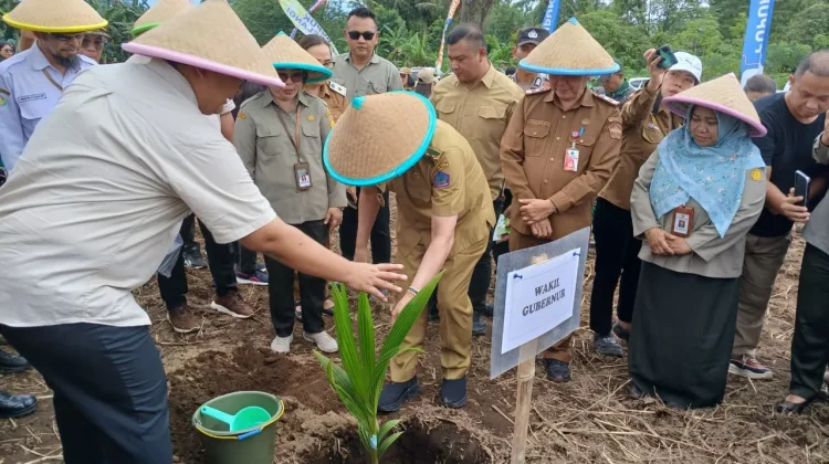 Tingkatkan Ekonomi Petani, Kabupaten Minut Dukung Hilirisasi Kelapa