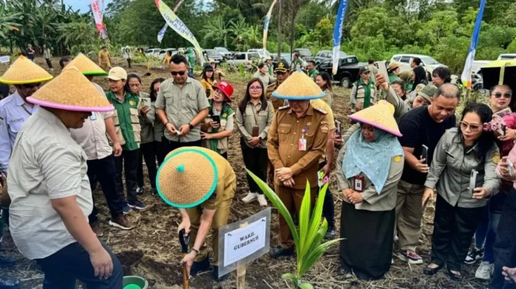 Kementan Genjot Replanting Kelapa di Sulut
