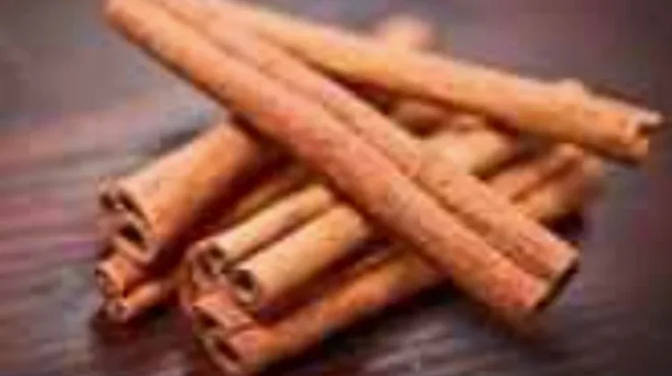 Manfaat Kayu Manis Bagi Kesehatan Tubuh