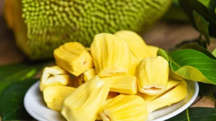 Ini Manfaat Buah Nangka untuk Kesehatan Tubuh