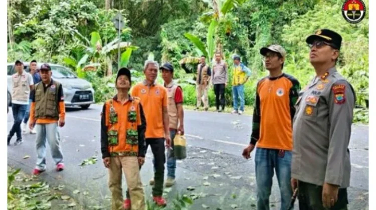 Kapolres Tomohon Pimpin Langsung Eksekusi Pohon Rawan Roboh