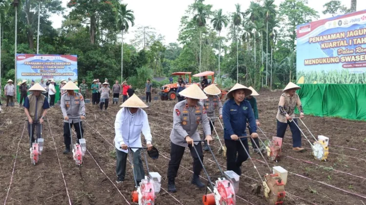 Polresta Manado Laksanakan Penanaman Jagung Raya Serentak Kuartal I 2026