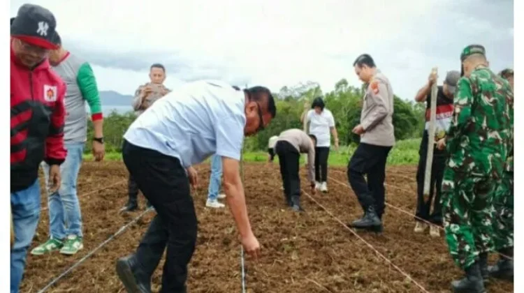 Polres Minahasa Tanam Jagung Serentak di Perkebunan Tapos
