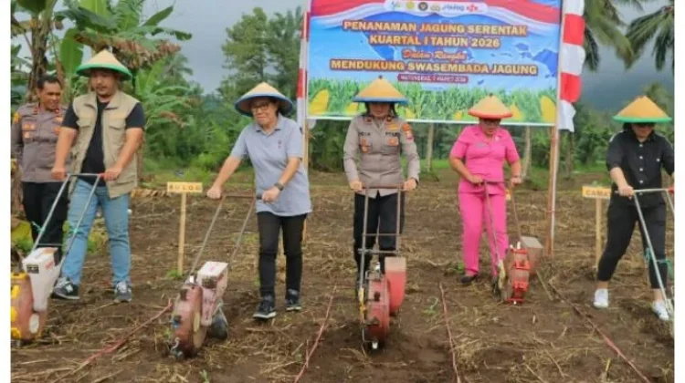 Polres Minut dan Forkopimda Tanam Jagung Serentak