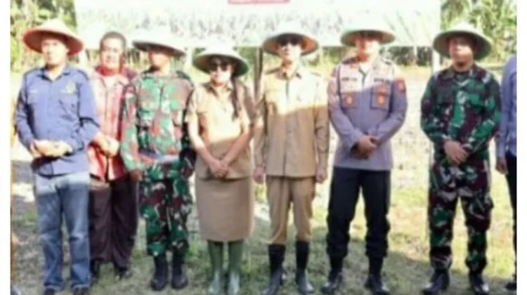 Polres Talaud dan Forkopimda Tanam Jagung Serentak