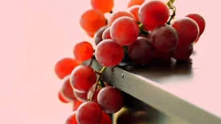 Anggur Merah, Camilan Manis Kaya Nutrisi dan Antioksidan
