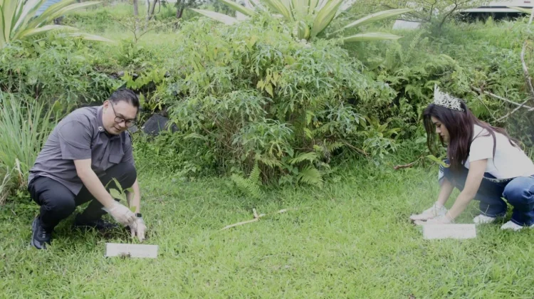 Siwu Dampingi Miss Earth Indonesia 2025 Tanam Pohon di Kaki Gunung Lokon