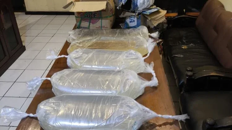 Polsek Pelabuhan Manado Amankan 75 Liter Cap Tikus di Area Pelabuhan