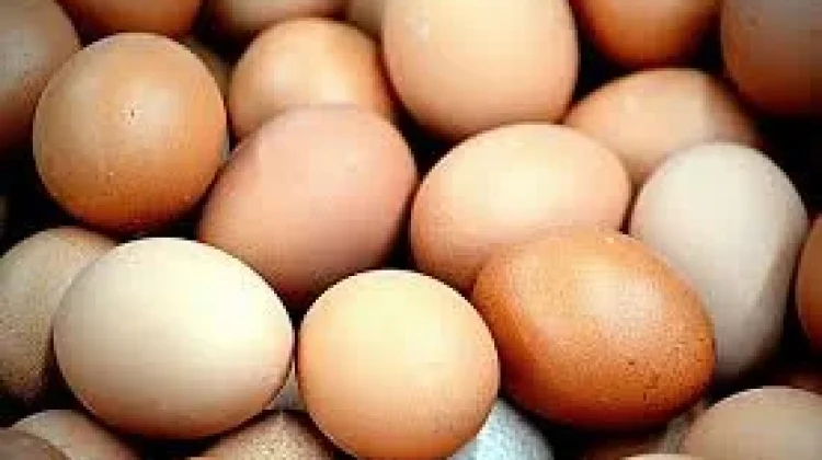 Sumber Makanan Kaya Omega-6 untuk Kesehatan Tubuh