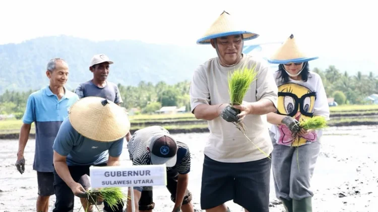 Pemprov Sulut Komit Perkuat Sektor Pertanian