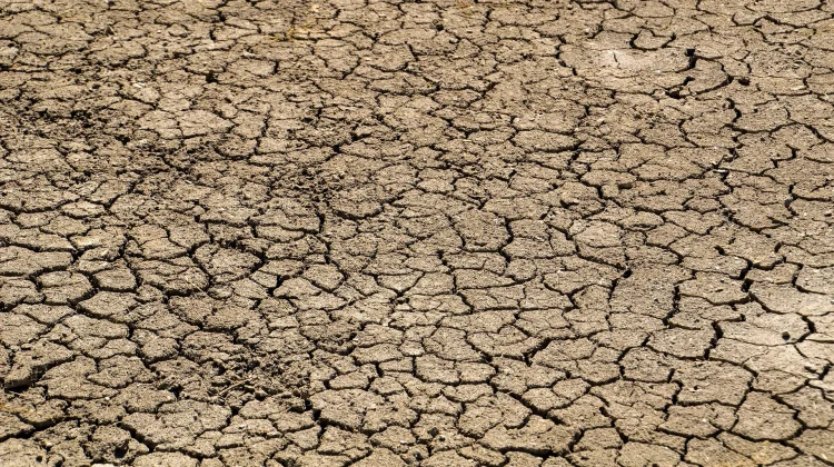 Mengapa disebut Godzilla El Nino, Ini Penjelasan BMKG