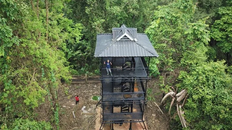 6 Hutan yang Memukau di Indonesia