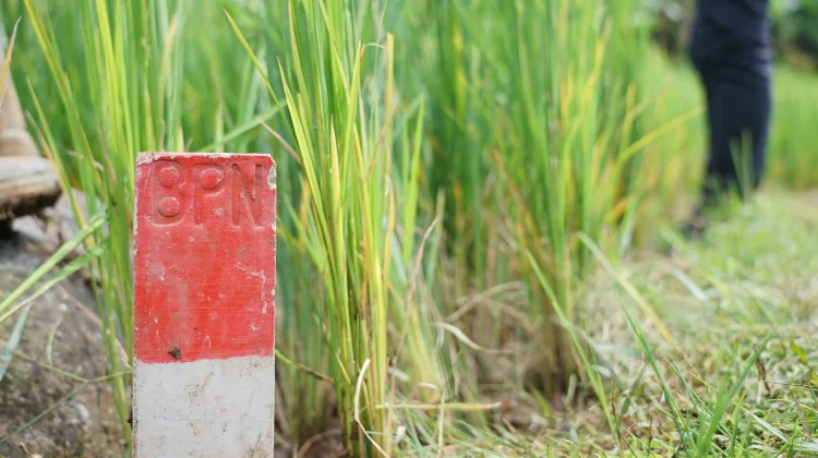 Cegah Konflik, Kantah Tomohon Ingatkan Pentingnya Pasang Tanda Batas Tanah